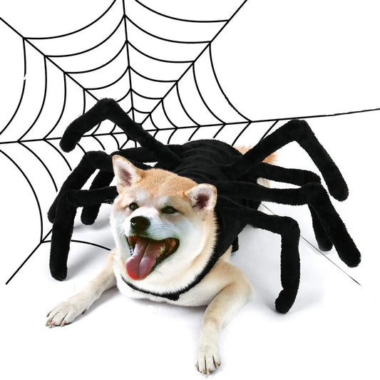 Pet Halloween Spider Outfit – Funny Chest & Back Costume for Cats/Dogs