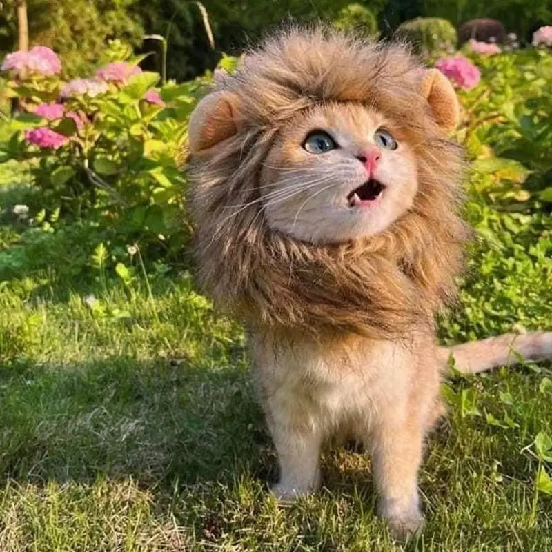 Lion Mane Wig for Cats & Small Dogs – Pet Halloween Costume & Cosplay Prop