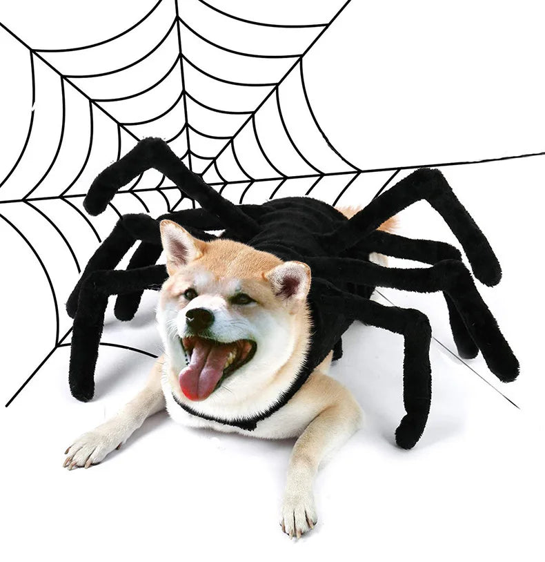 Pet Halloween Spider Outfit – Funny Chest & Back Costume for Cats/Dogs