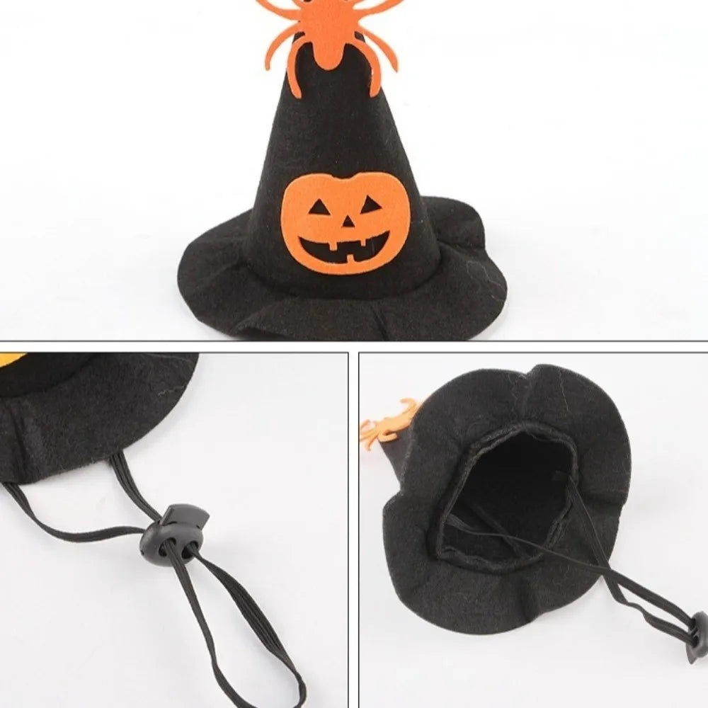 Kawaii Pumpkin & Spider Halloween Cat Costume – Adjustable Hat & Collar Set