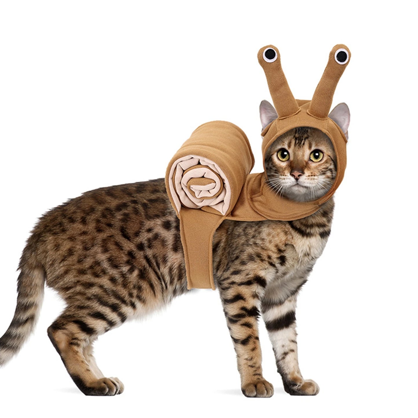 Snail Headpiece Halloween pet costume