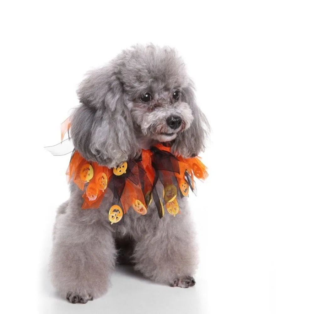 Kawaii Pumpkin & Spider Halloween Cat Costume – Adjustable Hat & Collar Set