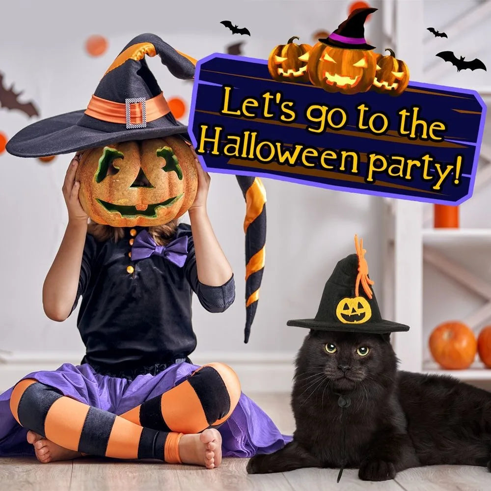 Kawaii Pumpkin & Spider Halloween Cat Costume – Adjustable Hat & Collar Set