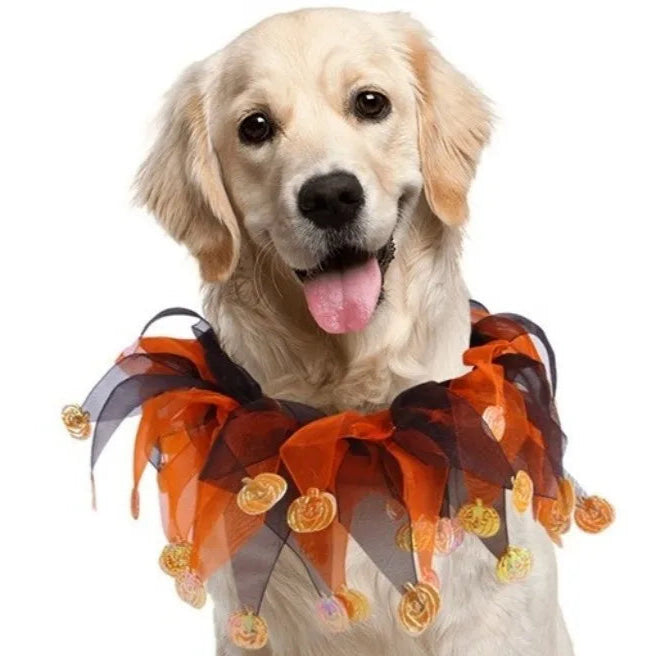 Kawaii Pumpkin & Spider Halloween Cat Costume – Adjustable Hat & Collar Set