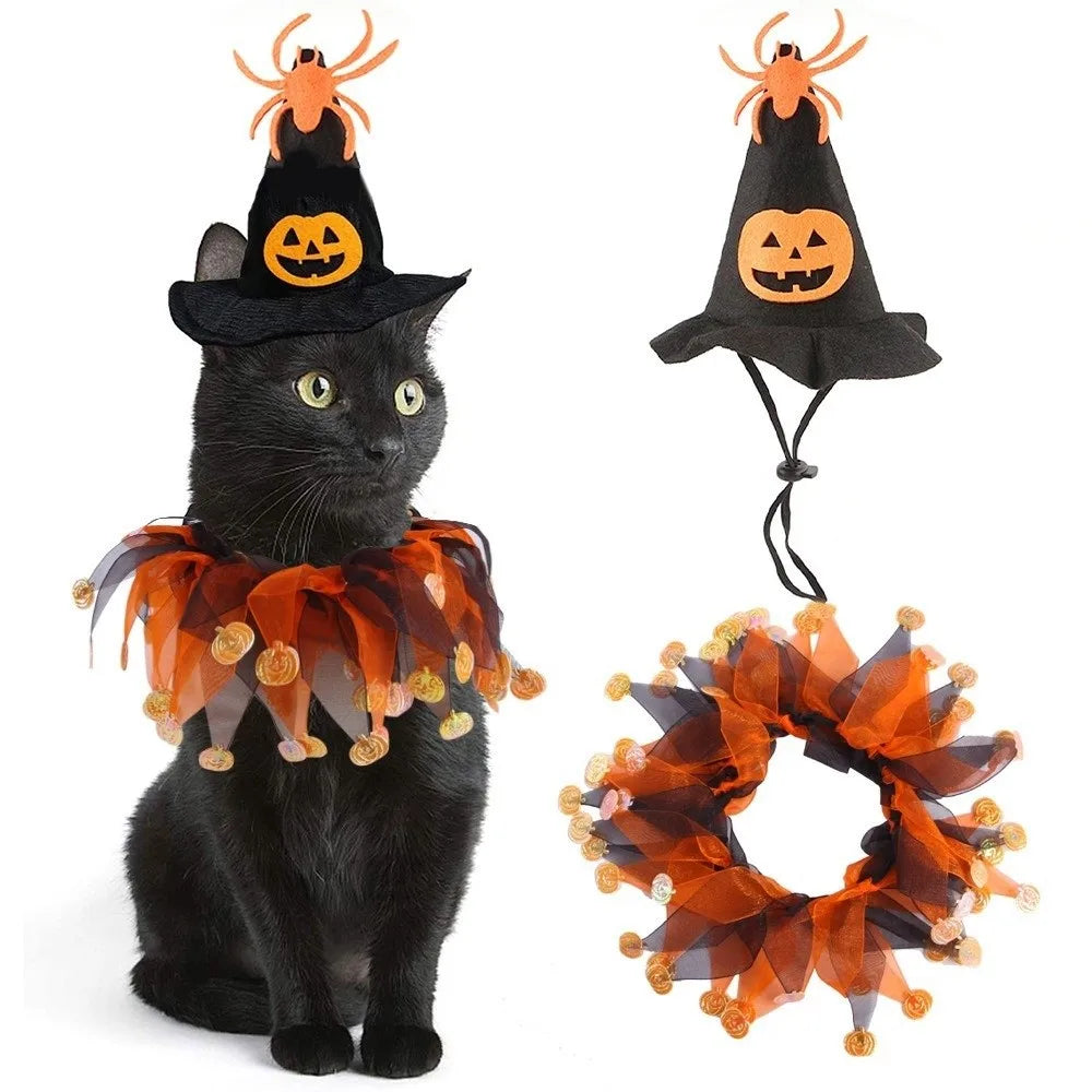 Kawaii Pumpkin & Spider Halloween Cat Costume – Adjustable Hat & Collar Set