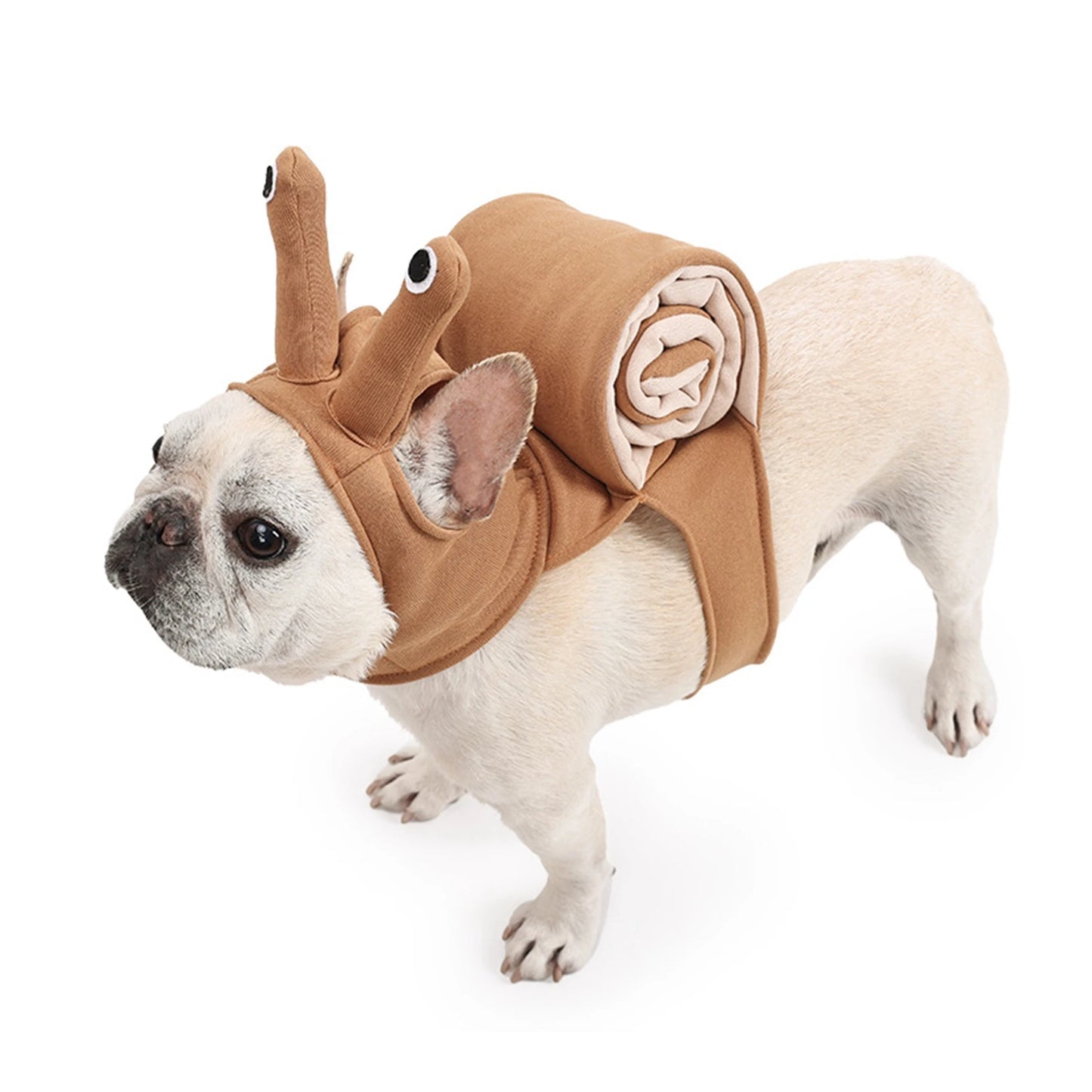 Snail Headpiece Halloween pet costume